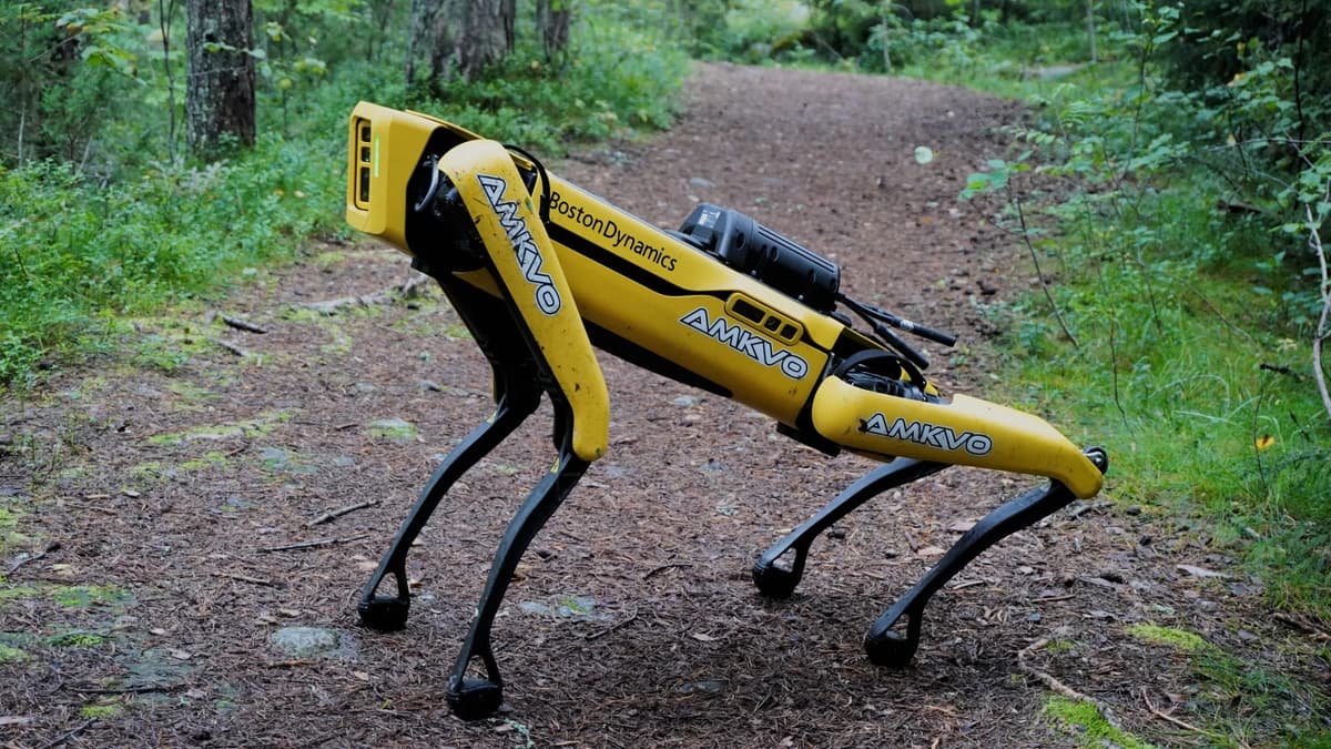 A yellow four-legged Boston Dynamics Spot robot standing on a forest path with trees and green undergrowth around it