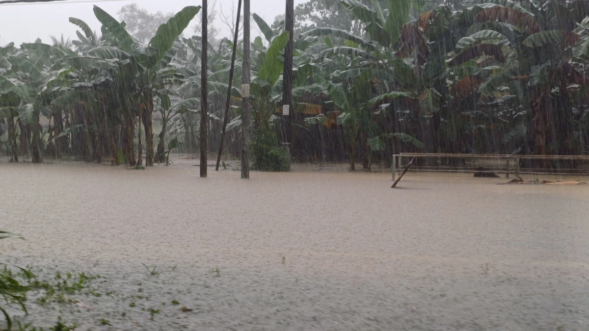 Heavy rain falling over a brown flooded road in front of banana plants, with power poles and a metal fence standing in the water